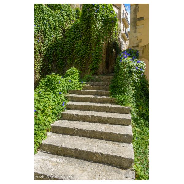 PHOTO84, CLUB, 84 , LUBERON